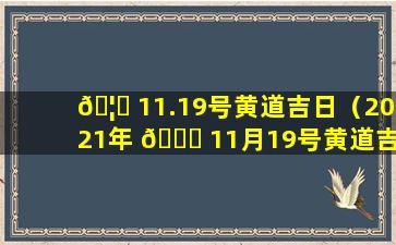 🦁 11.19号黄道吉日（2021年 🕊 11月19号黄道吉日）